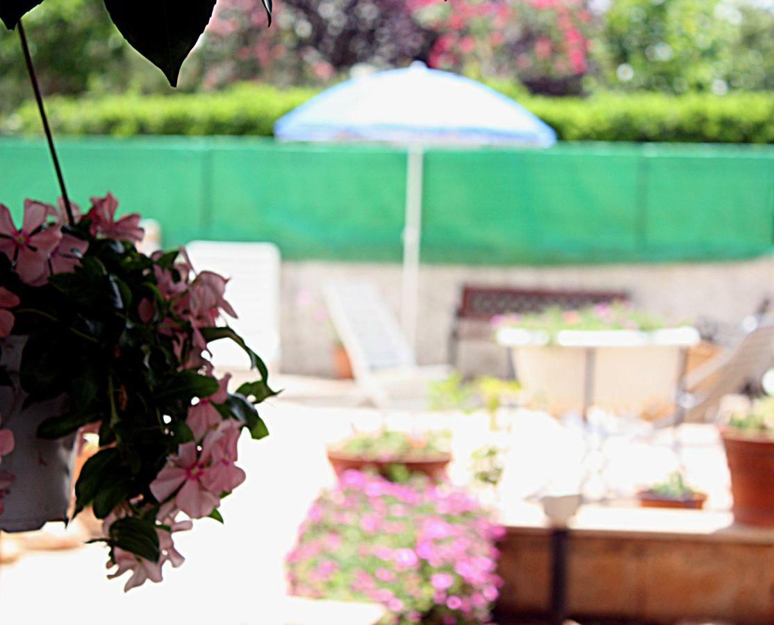 Patty Green House Castellana Grotte Εξωτερικό φωτογραφία
