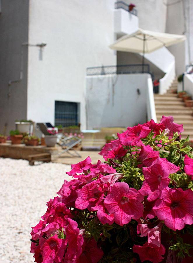 Patty Green House Castellana Grotte Εξωτερικό φωτογραφία